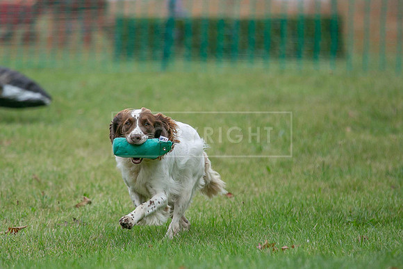 Jixenwell Scurry Challenge Final 2024-0353