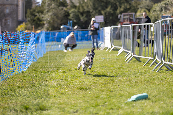 Thoresby Sun 30th Mar 25-243