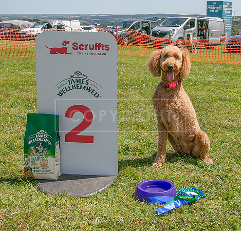 Scruffts heat @ Wadebridge 13th July 2025-96