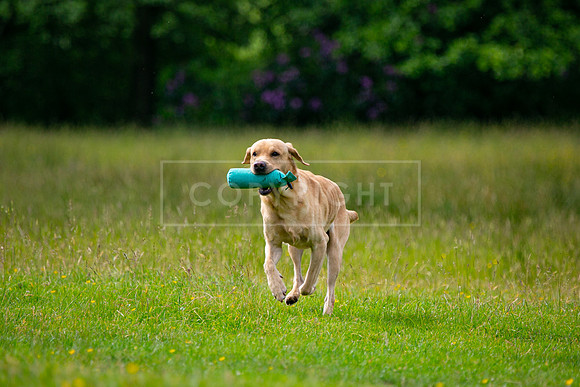 Int Retriever Day 1 -044