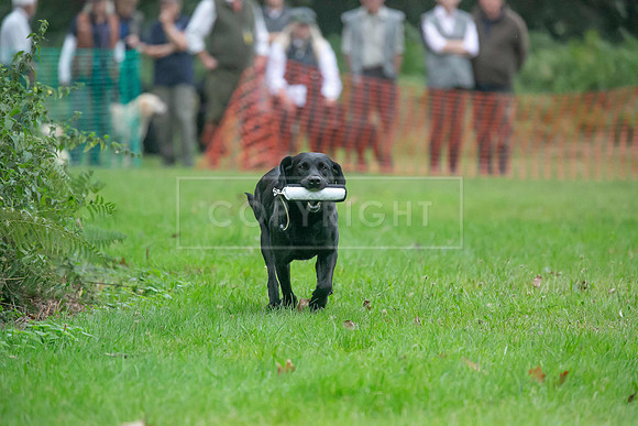 Jixenwell Scurry Challenge Final 2024-0058