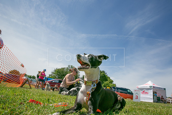 Scruffts heat @ Wadebridge 13th July 2025-80