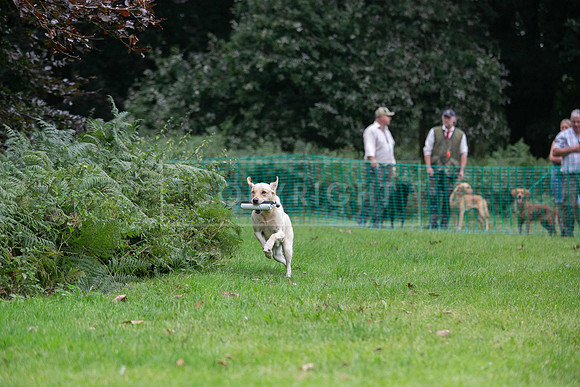 Jixenwell Scurry Challenge Final 2024-0170