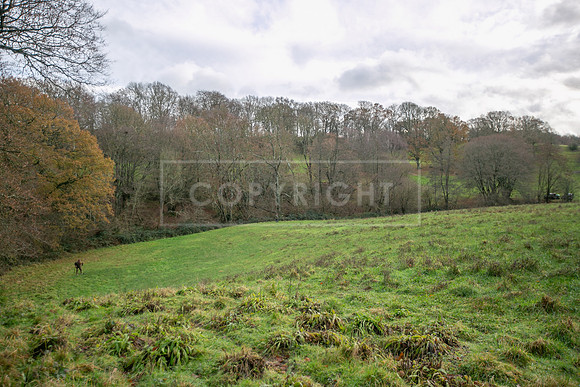 Tilden Farm 9th Dec 23-261
