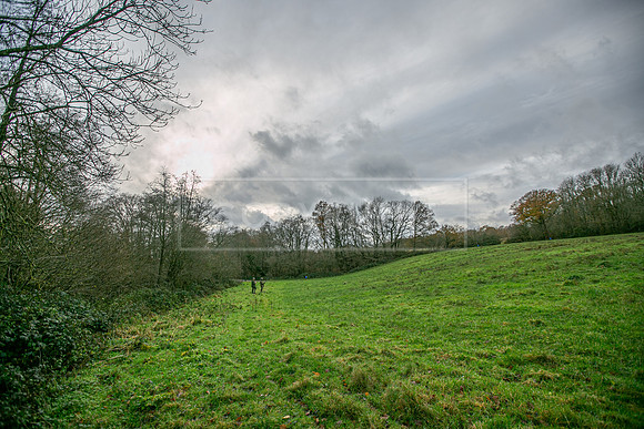 Tilden Farm 9th Dec 23-263