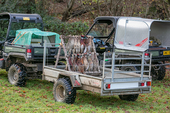 Tilden Farm 9th Dec 23-320