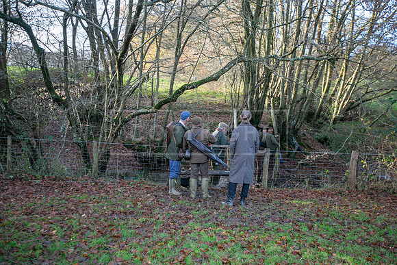 Tilden Farm 9th Dec 23-322