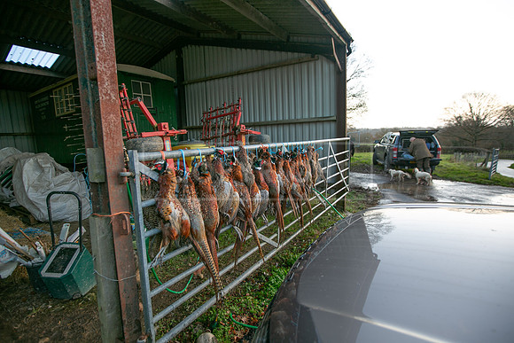 Tilden Farm 9th Dec 23-342