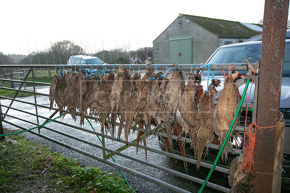 Tilden Farm 9th Dec 23-352