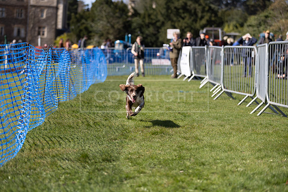 Thoresby Sun 30th Mar 25-125