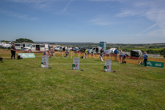 Scruffts heat @ Wadebridge 13th July 2025-100