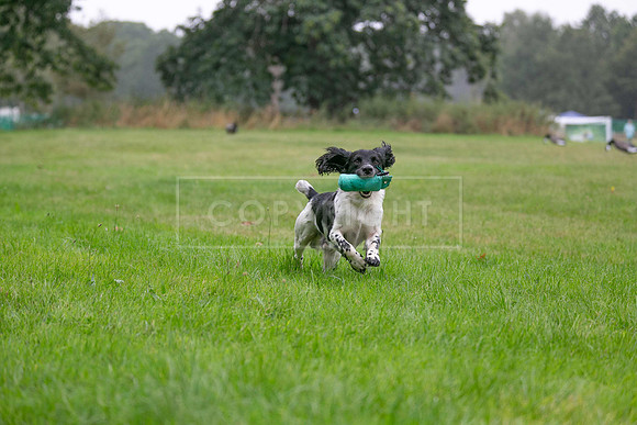 Jixenwell Scurry Challenge Final 2024-0339