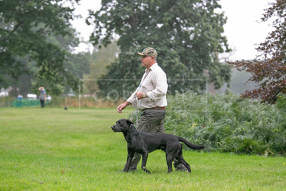 Jixenwell Scurry Challenge Final 2024-0182