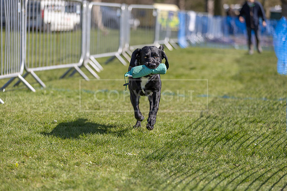 Thoresby Sun 30th Mar 25-139
