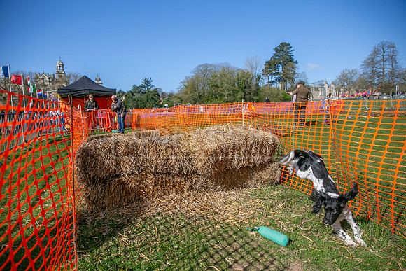 Thoresby Sun 30th Mar 25-074