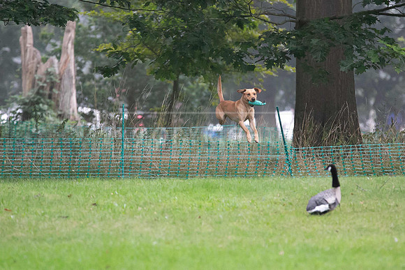 Jixenwell Scurry Challenge Final 2024-0107