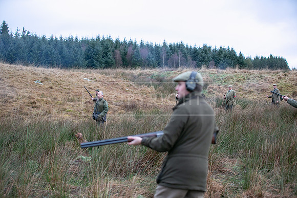 Cocker Championship Jan 2024-061