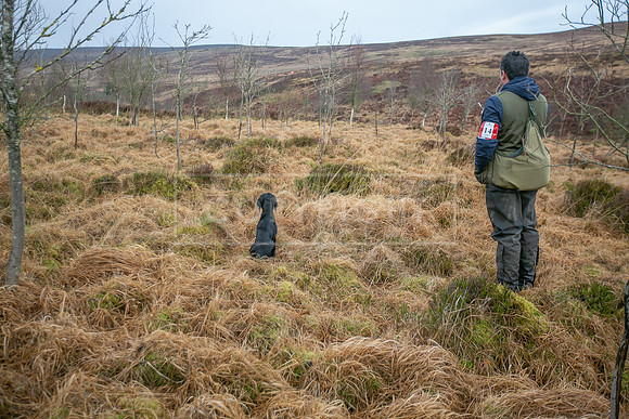 Cocker Championship Jan 2024-101