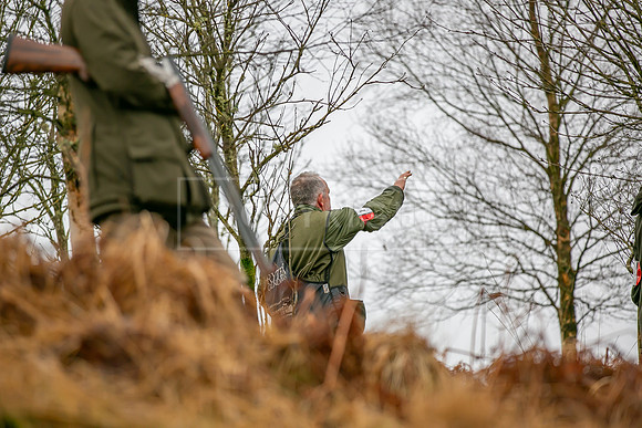 Cocker Championship Jan 2024-113