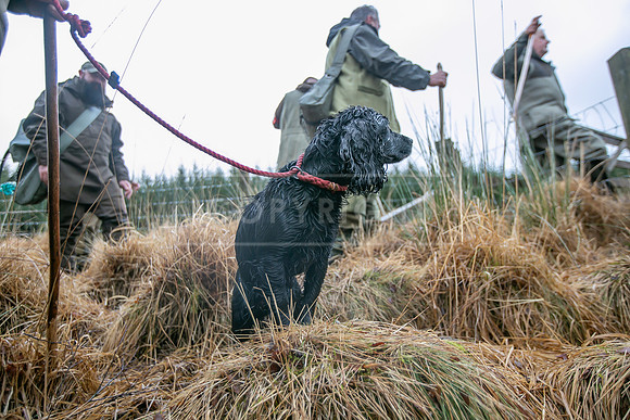 Cocker Championship Jan 2024-159