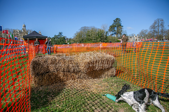 Thoresby Sun 30th Mar 25-075