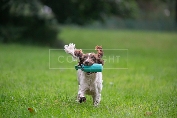 Jixenwell Scurry Challenge Final 2024-0204