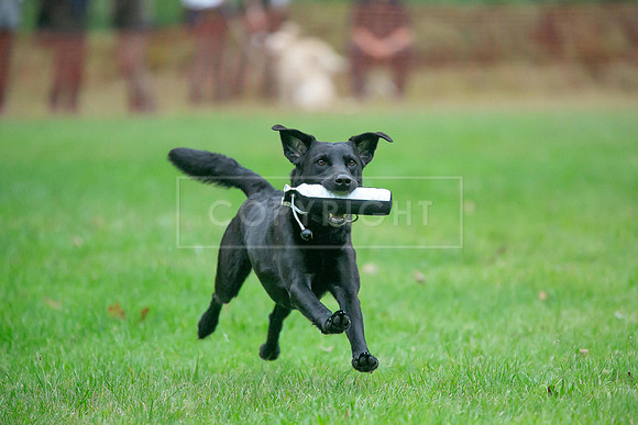 Jixenwell Scurry Challenge Final 2024-0065
