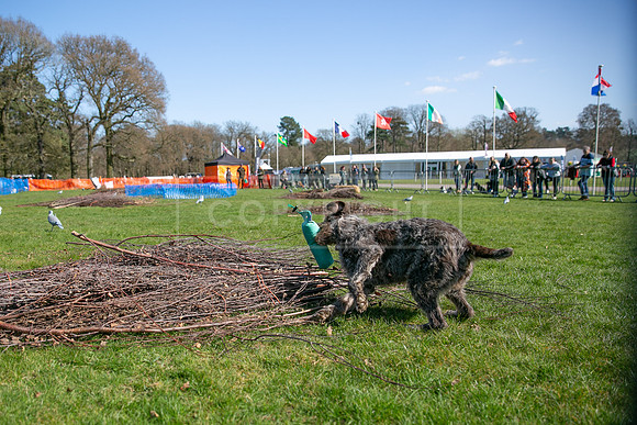 Thoresby Sun 30th Mar 25-253