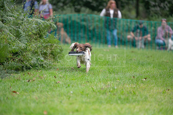 Jixenwell Scurry Challenge Final 2024-0300
