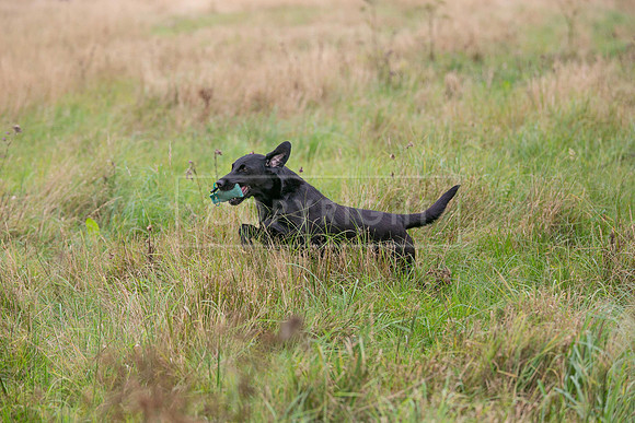 Jixenwell Scurry Challenge Final 2024-0465