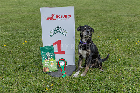 Scruffts @ Newark April 2024-100