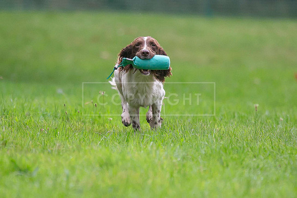 Jixenwell Scurry Challenge Final 2024-0203