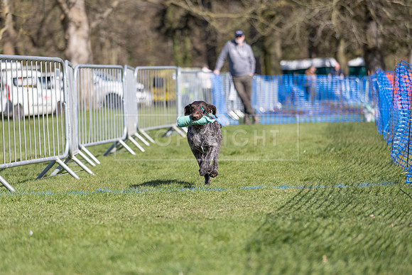 Thoresby Sun 30th Mar 25-266