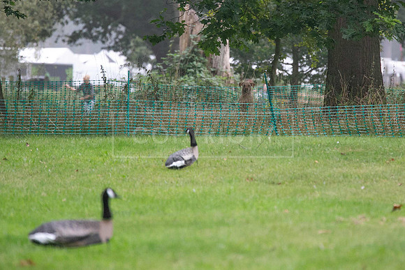 Jixenwell Scurry Challenge Final 2024-0173