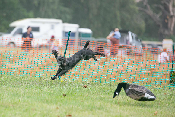 Jixenwell Scurry Challenge Final 2024-0285
