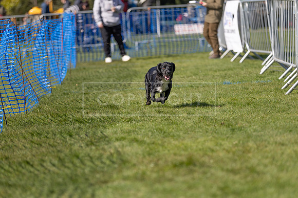 Thoresby Sun 30th Mar 25-097