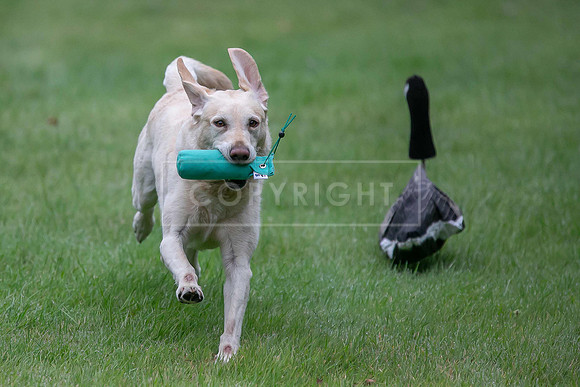 Jixenwell Scurry Challenge Final 2024-0049