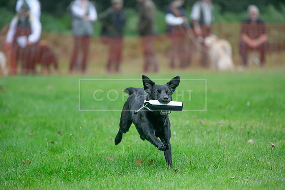 Jixenwell Scurry Challenge Final 2024-0064