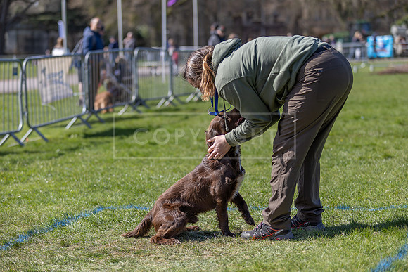 Thoresby Sun 30th Mar 25-159