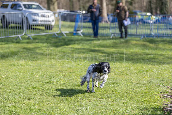 Thoresby Sun 30th Mar 25-048