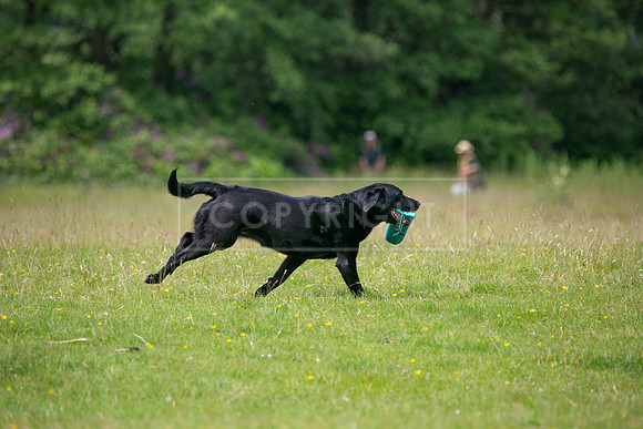 Int Retriever Day 1 -116