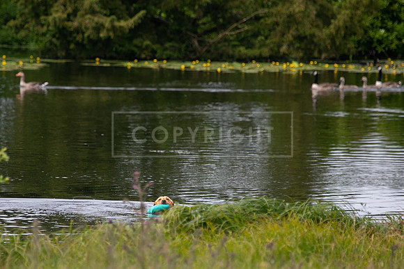 Int Retriever Day 1 -062