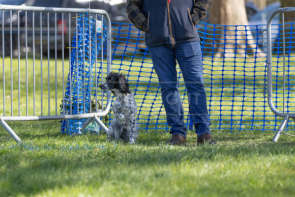 Thoresby Sun 30th Mar 25-046