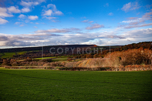 Stoneleywoods 26th Nov-019
