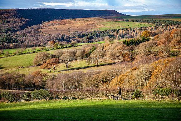 Stoneleywoods 26th Nov-024