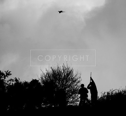 Stoneleywoods 26th Nov-041