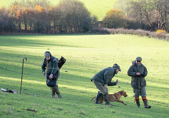 Stoneleywoods 26th Nov-090