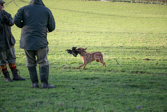 Stoneleywoods 26th Nov-091