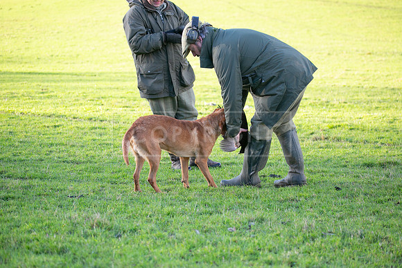 Stoneleywoods 26th Nov-092