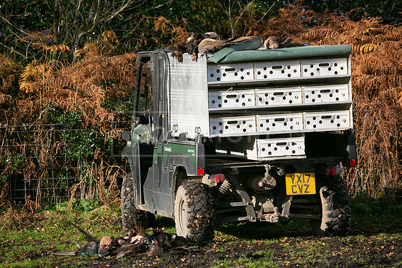Stoneleywoods 26th Nov-119